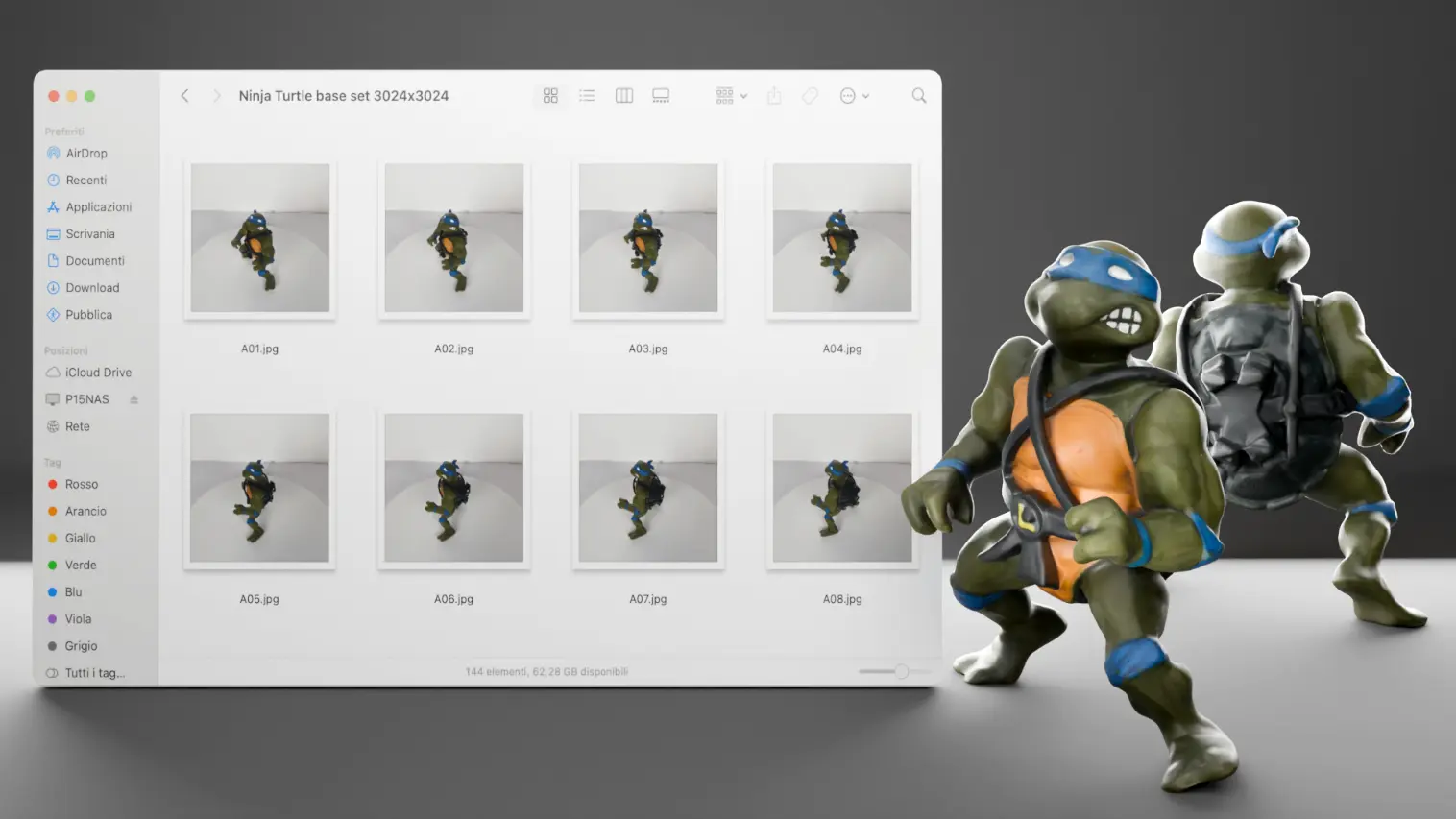 Ninja Turtle Cover image