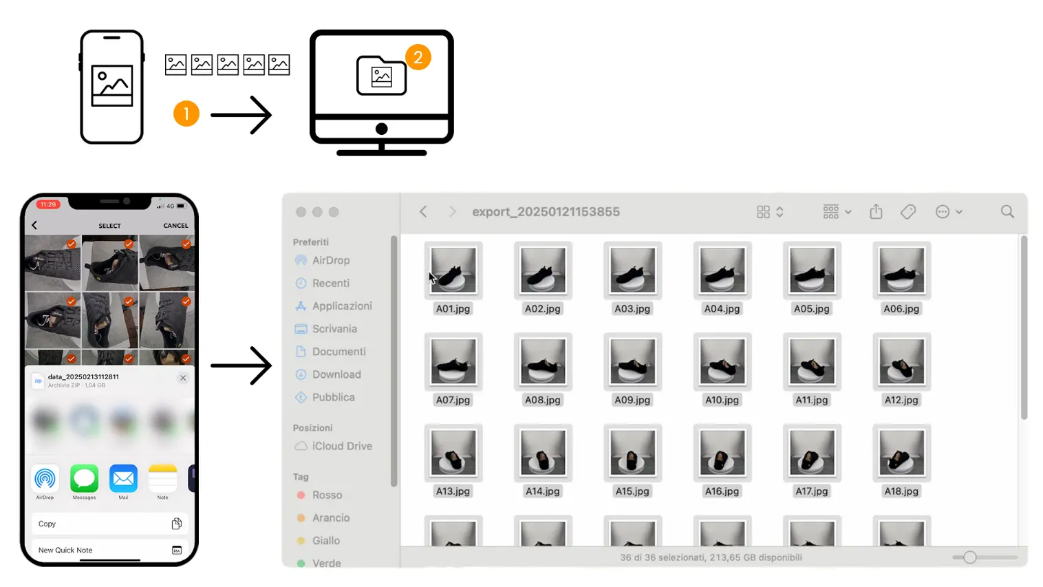 Transferring photos to your computer and organizing them in a directory